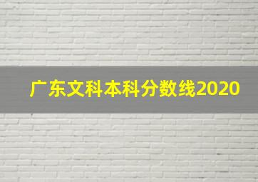 广东文科本科分数线2020