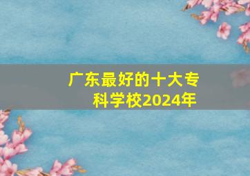 广东最好的十大专科学校2024年