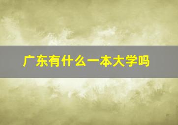 广东有什么一本大学吗