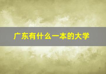 广东有什么一本的大学