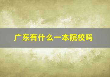 广东有什么一本院校吗