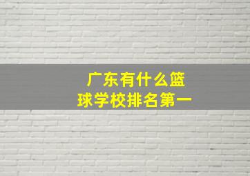 广东有什么篮球学校排名第一