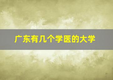 广东有几个学医的大学