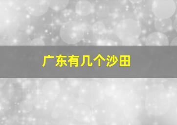 广东有几个沙田