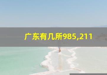 广东有几所985,211