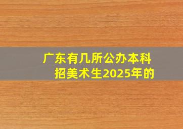 广东有几所公办本科招美术生2025年的