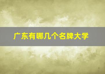 广东有哪几个名牌大学