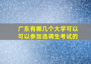 广东有哪几个大学可以可以参加选调生考试的