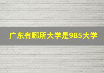 广东有哪所大学是985大学