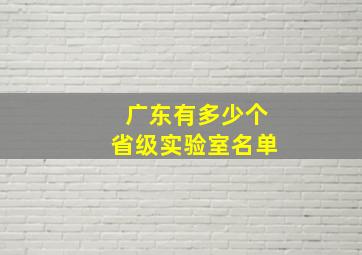 广东有多少个省级实验室名单