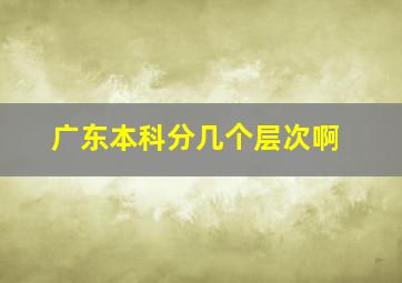 广东本科分几个层次啊