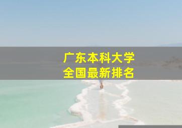 广东本科大学全国最新排名