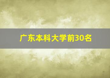 广东本科大学前30名