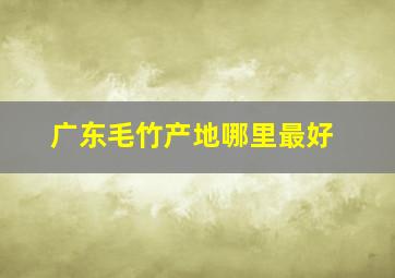 广东毛竹产地哪里最好