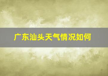 广东汕头天气情况如何