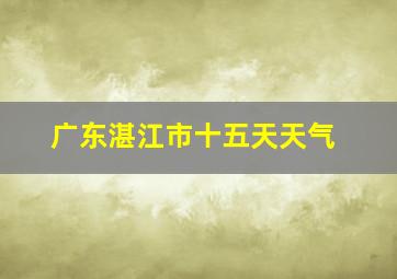 广东湛江市十五天天气