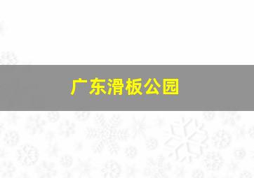 广东滑板公园