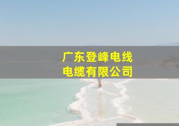 广东登峰电线电缆有限公司