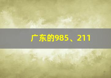 广东的985、211