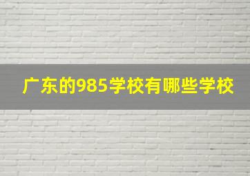 广东的985学校有哪些学校