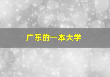 广东的一本大学