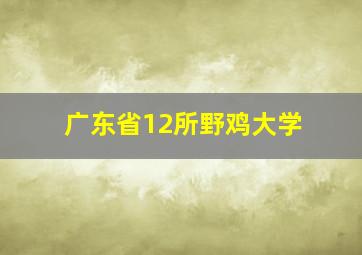 广东省12所野鸡大学