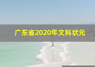 广东省2020年文科状元