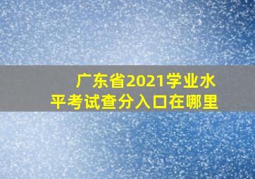 广东省2021学业水平考试查分入口在哪里