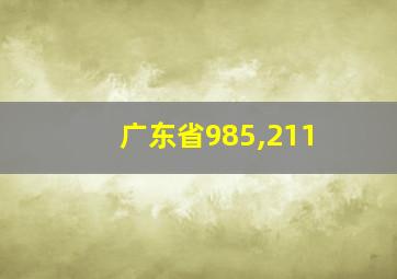 广东省985,211