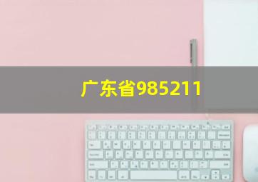 广东省985211