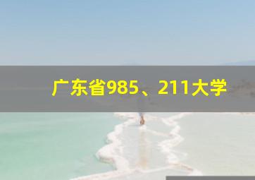 广东省985、211大学