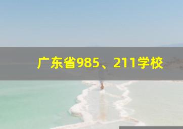 广东省985、211学校