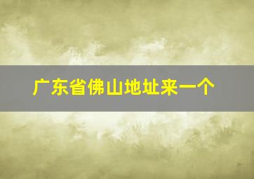 广东省佛山地址来一个