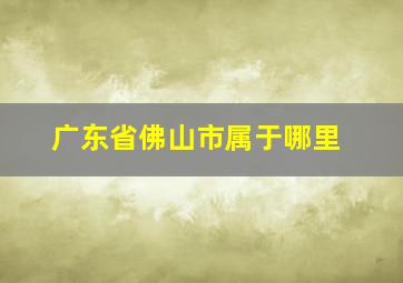 广东省佛山市属于哪里