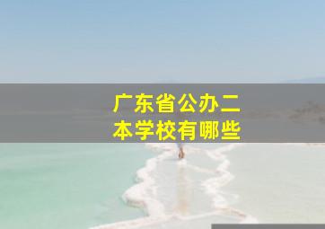 广东省公办二本学校有哪些