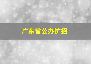 广东省公办扩招