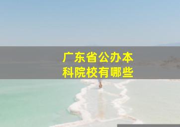 广东省公办本科院校有哪些