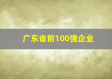 广东省前100强企业