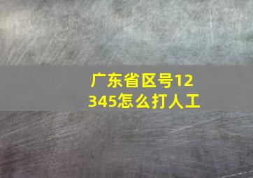 广东省区号12345怎么打人工