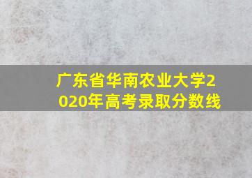 广东省华南农业大学2020年高考录取分数线