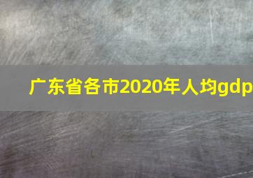 广东省各市2020年人均gdp