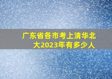 广东省各市考上清华北大2023年有多少人