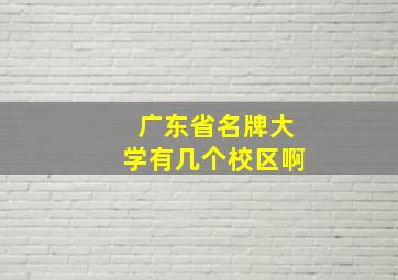 广东省名牌大学有几个校区啊