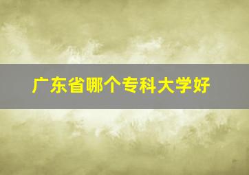 广东省哪个专科大学好