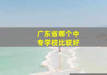 广东省哪个中专学校比较好