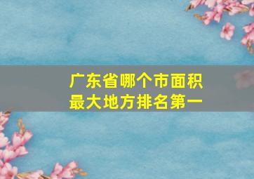 广东省哪个市面积最大地方排名第一