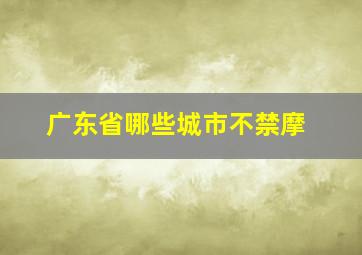 广东省哪些城市不禁摩