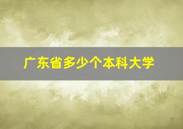 广东省多少个本科大学