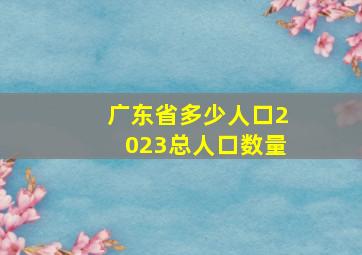 广东省多少人口2023总人口数量