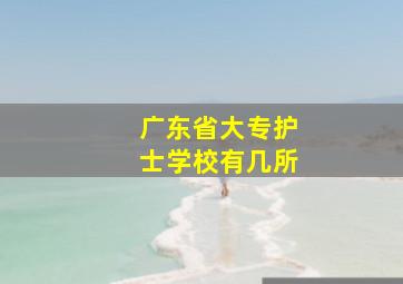 广东省大专护士学校有几所